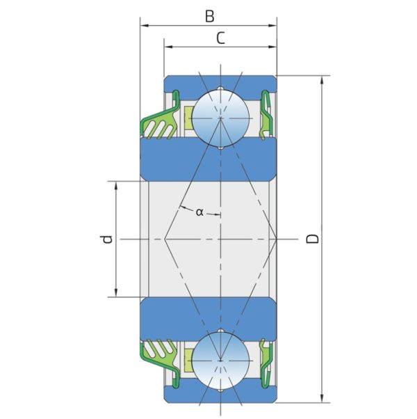 06C04-TS (204 RY2) gultnis