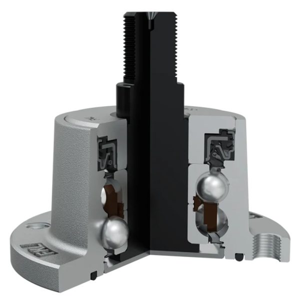 IL50-98/4T-M22 (BAA-0004) gultnis