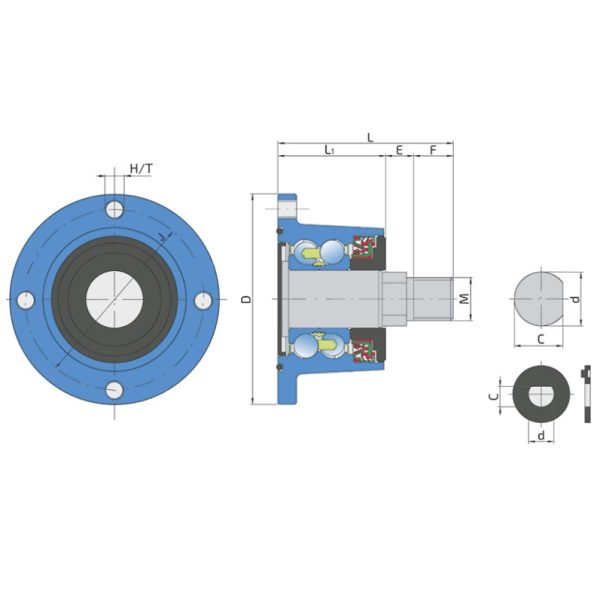IL50-98/4T-M22 (BAA-0004) gultnis