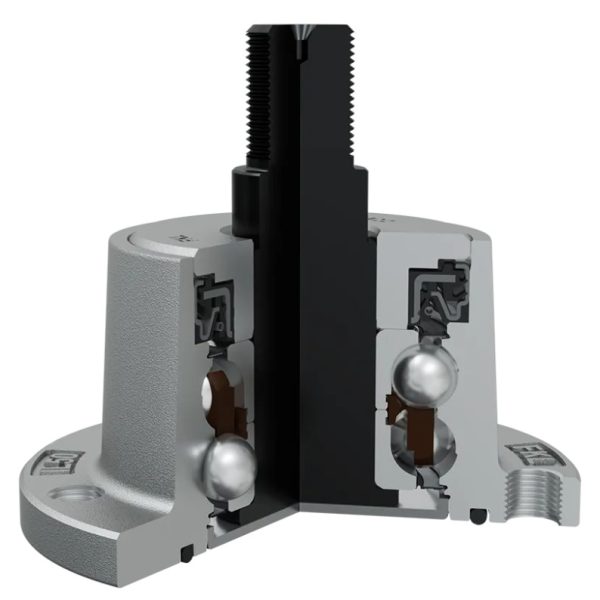 IL50-98/5T-M22 (BAA-0012) gultnis