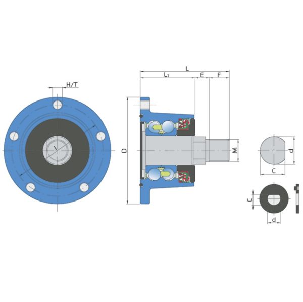 IL50-98/5T-M22 (BAA-0012) gultnis