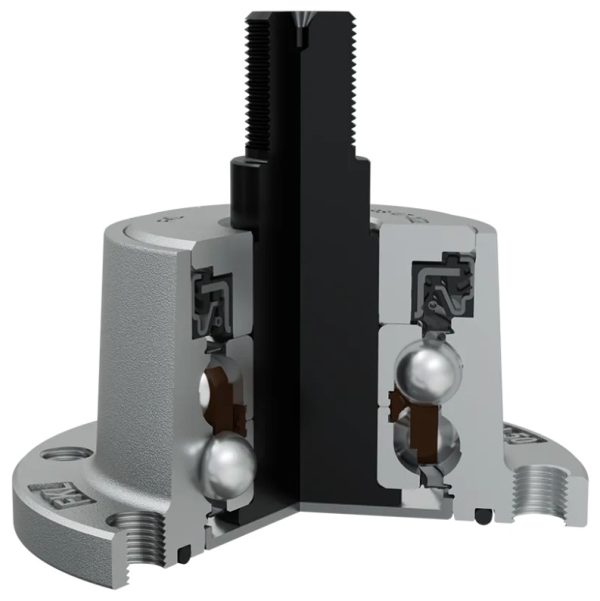 IL50-98/6T-M22 (BAA-0006) gultnis