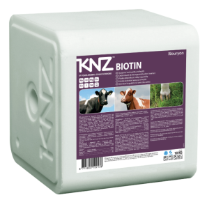 SĀLS KNZ BIOTIN LAIZĀMĀ 10KG